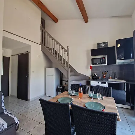 Appartement Bord De Avec Terrasse, Parking, Animaux Acceptes - Fr-1-387-215 Marseillan (Herault)