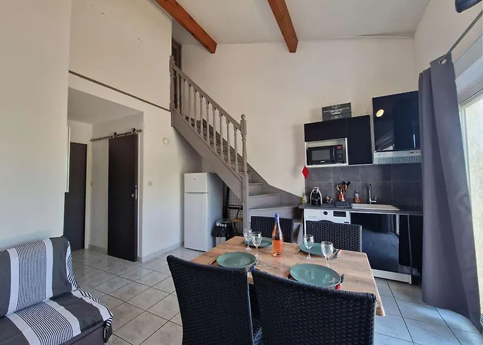 Appartement Bord De Avec Terrasse, Parking, Animaux Acceptes - Fr-1-387-215 Marseillan (Herault)